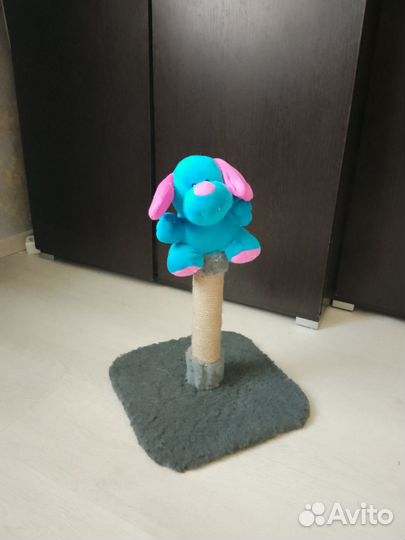 Когтеточка