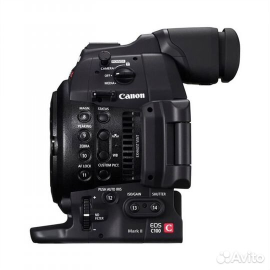 Canon C100 mark ii