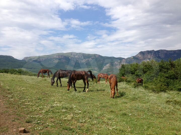 Участок 11 сот. (ИЖС)