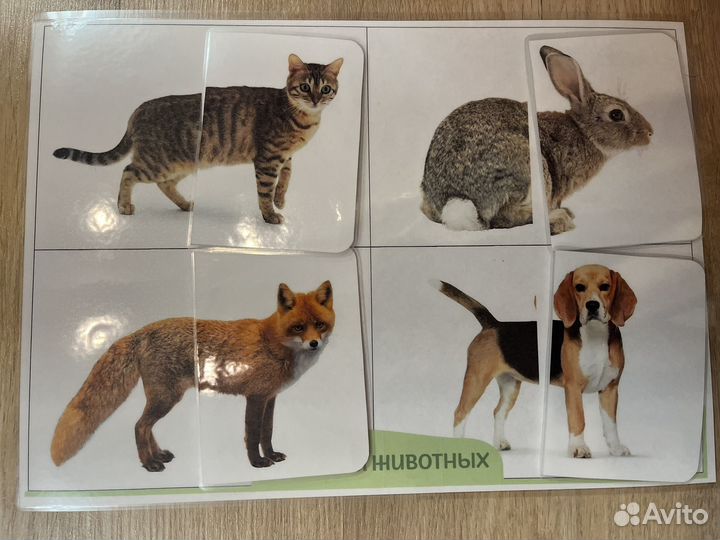 Игры на липучках