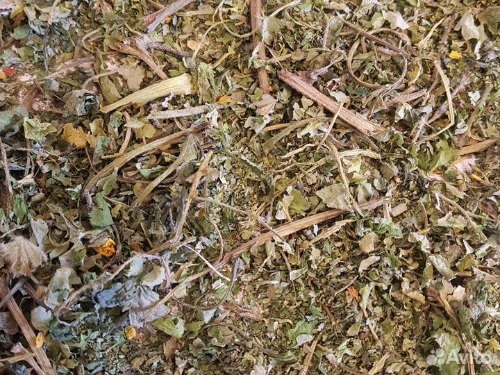 Чистотел сушеный