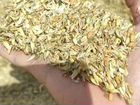 Отходы пшеницы. Зерноотход. Зерносмесь объявление продам