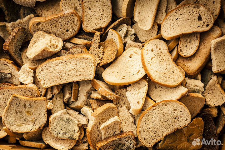 Хлеб на корм животным