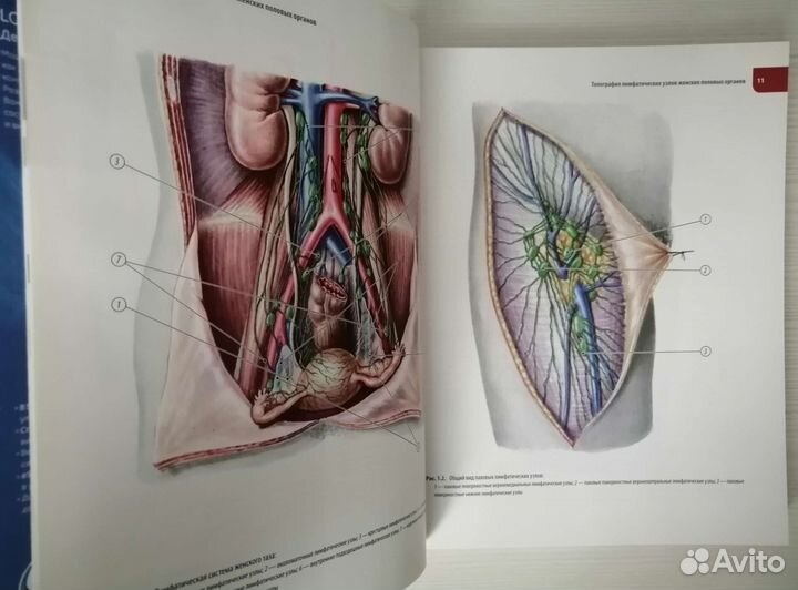 Атлас операций женских половых органов (2015г.)