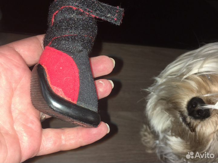 Ботинки для маленьких собак