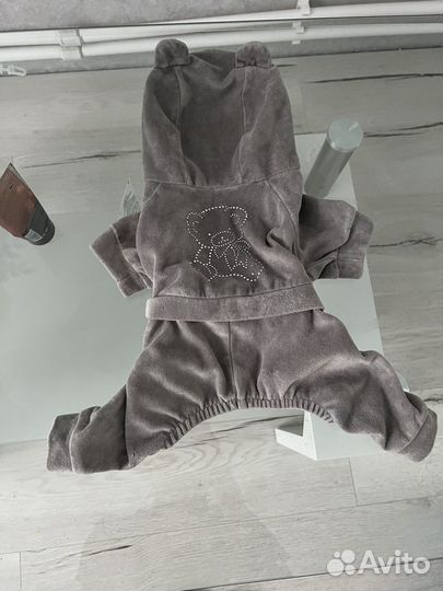 Костюм для собаки