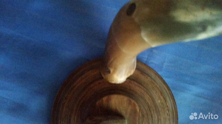 Вешалка рога