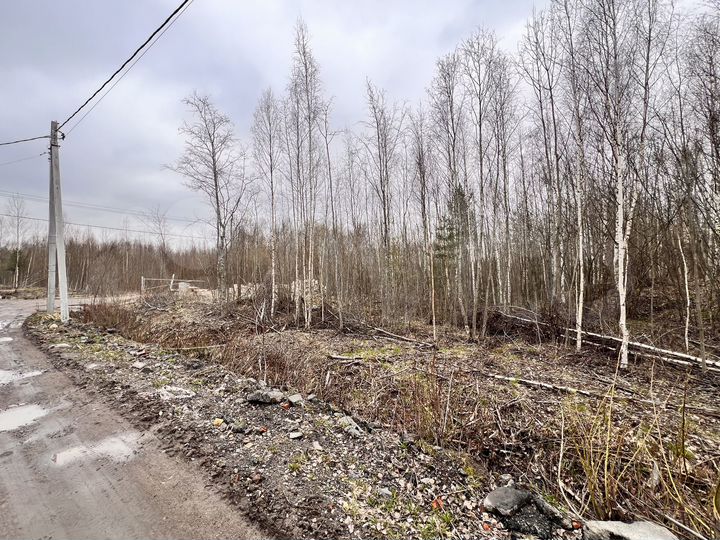 Участок 16,2 сот. (ИЖС)