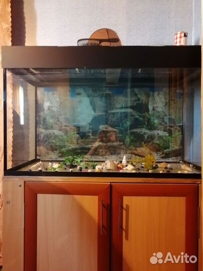 Аквариум