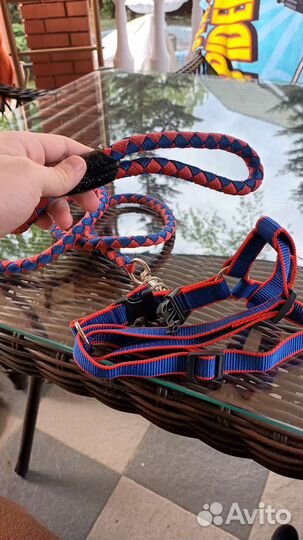 Поводок для маленьких собак