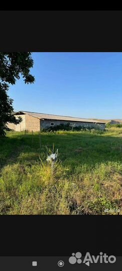 Фермерское хозяйство