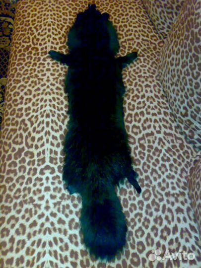 Шкура -чулок