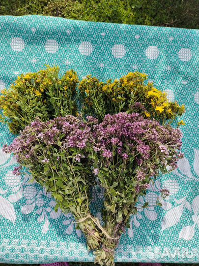 Пучки трав для бани