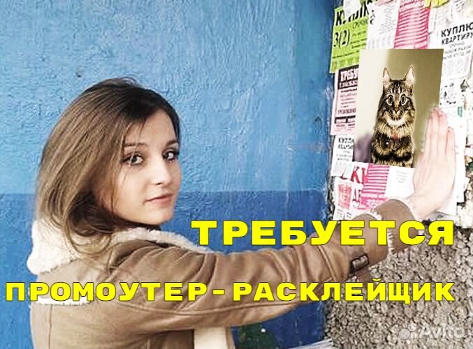 Промоутер-расклейщик