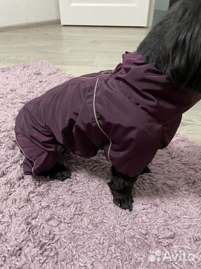 Дождевик для собак