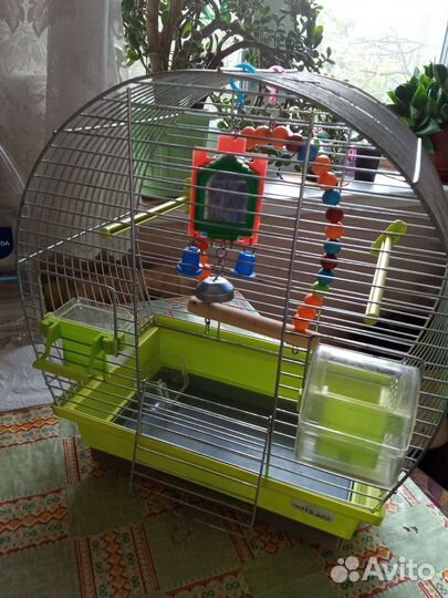 Клетка для попугая или птиц