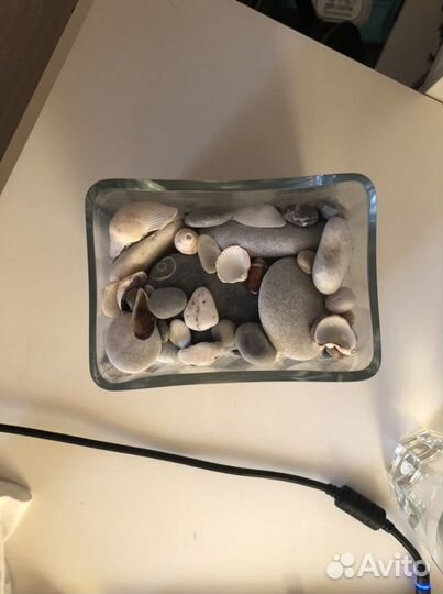 Декоративная ваза с ракушками и камешками