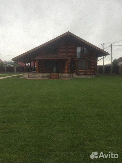 Продажа газона