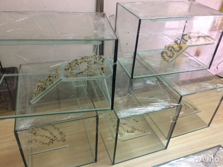 Изготовление аквариумов