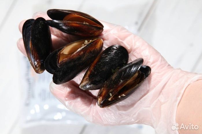 Мидии в раковине чили - отборные