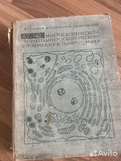 Атлас по гистологии