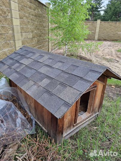 Собачья будка