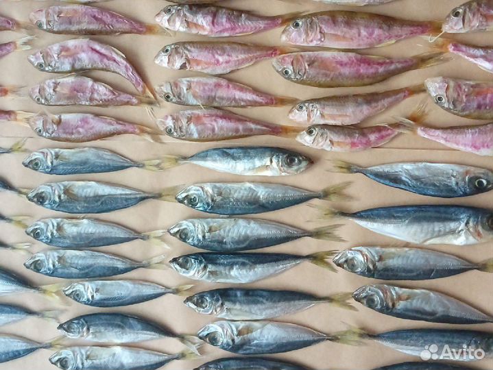 Вяленая рыба Барабуля Бычки Кефаль Сарган Ставрида