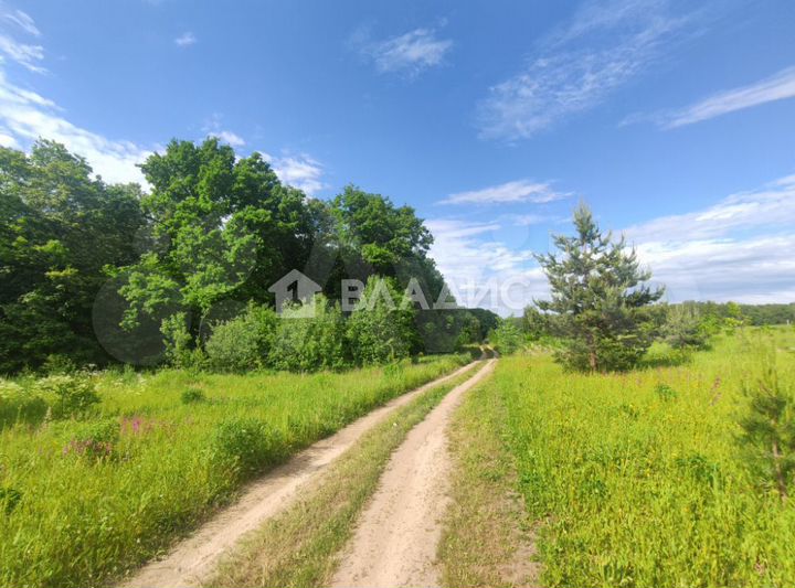 Участок 12,1 сот. (ИЖС)