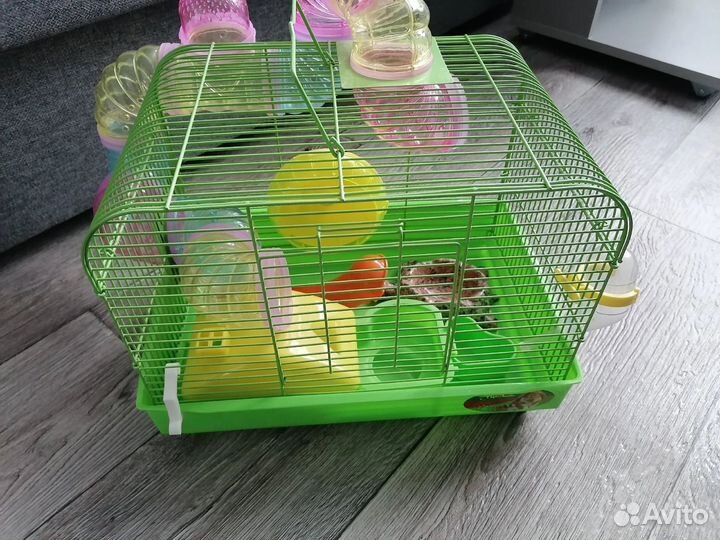 Клетка для джунгарского хомяка