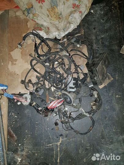 Проводка подкапотная коса Note E11 Nissan