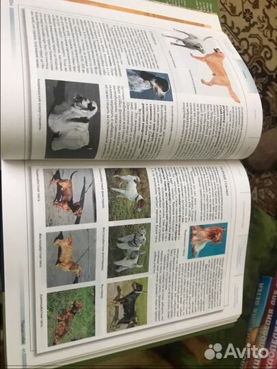 Энциклопедия для детей аванта+