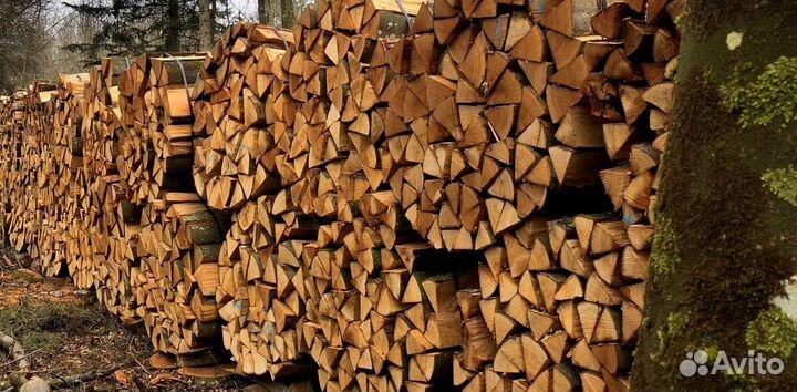 Дрова в Токсова