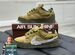 Nike dunk low x cactus plant flea market