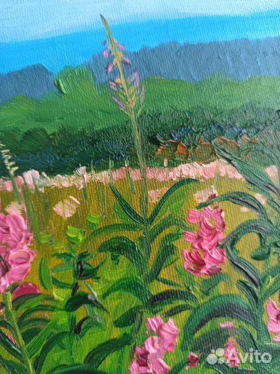 Картина маслом Иван-чай 30*20