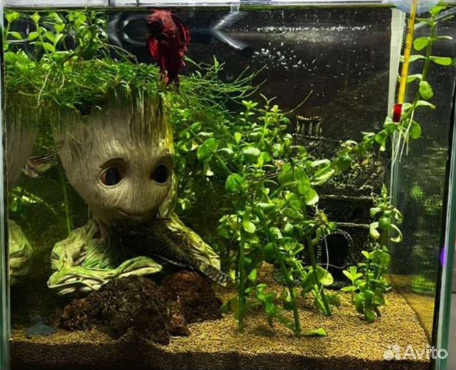 Декорация Грут