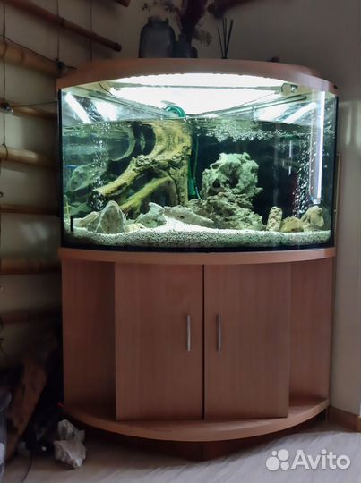 Угловой аквариум 120 литров + тумба + фильтр eheim