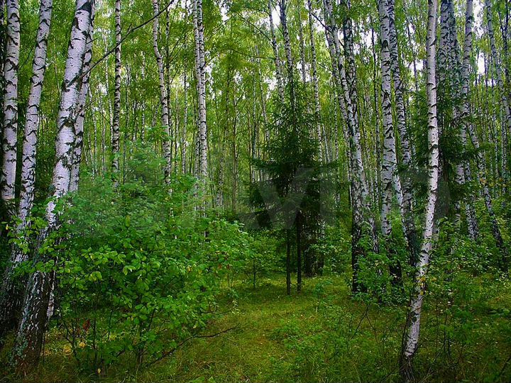 Дом 196 м² на участке 8 сот.