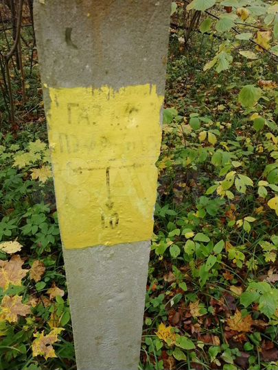 Участок 50 га (СНТ, ДНП)