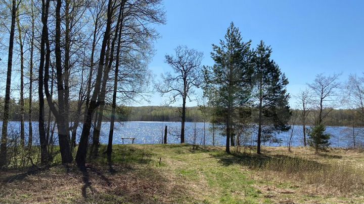 Участок 1,64 га (ИЖС)