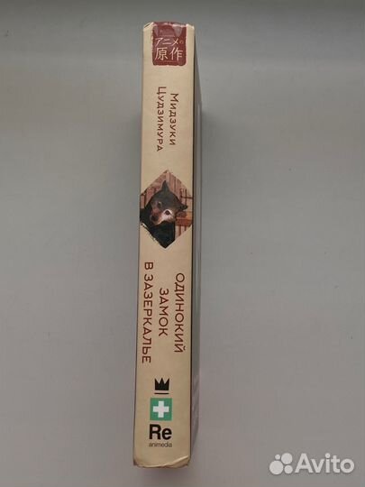 Одинокий замок в зазеркалье