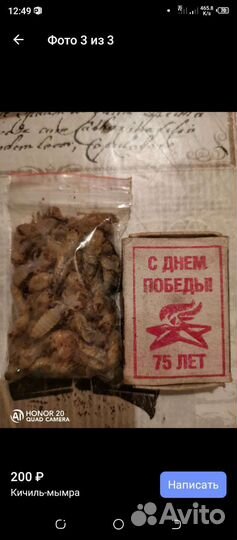 Кичиль мымра