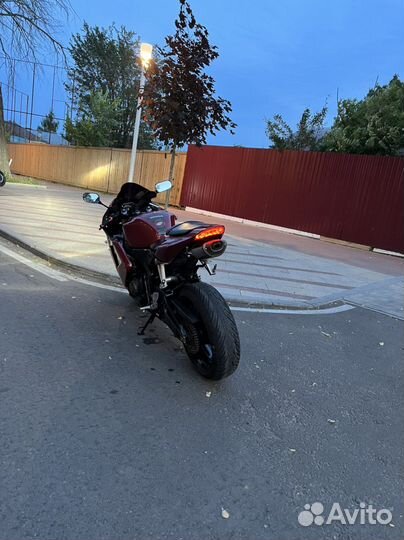 Honda cbr 600rr