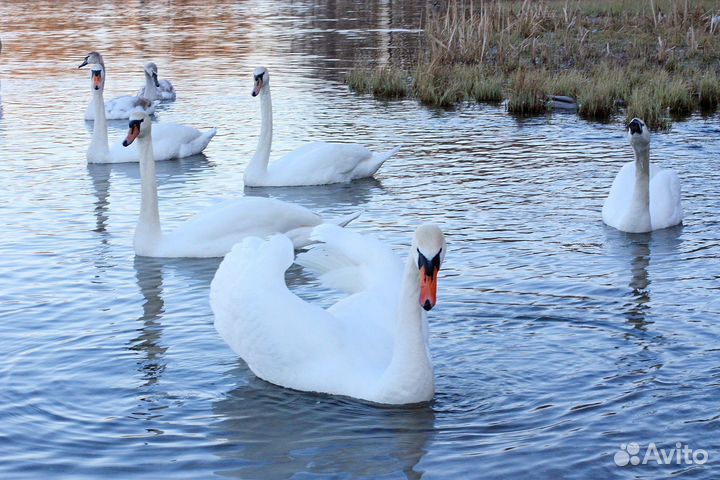 Индивидуальные экскурсии