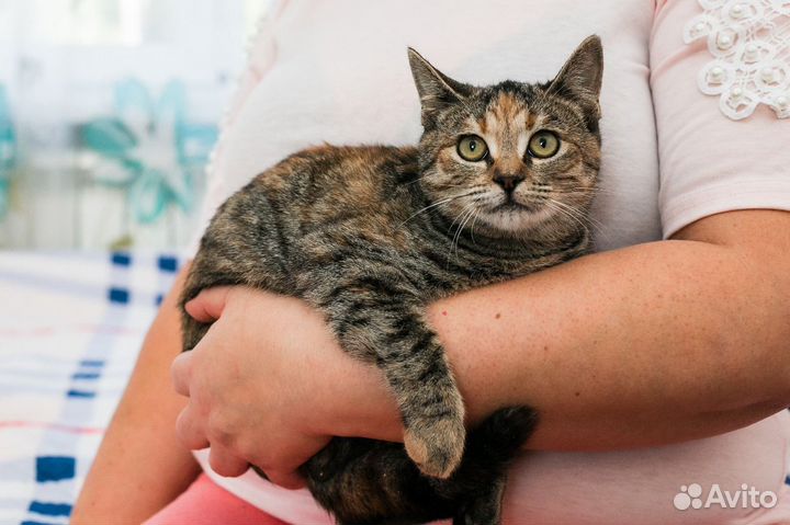 Дашу выбросили в коробке замотанной скотчем