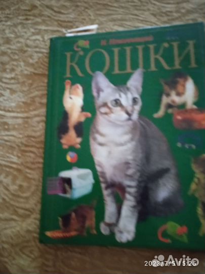 Товары для домашних животных