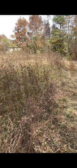 Участок 14,1 сот. (ИЖС)