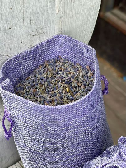 Лаванда в пучках, сухоцвет