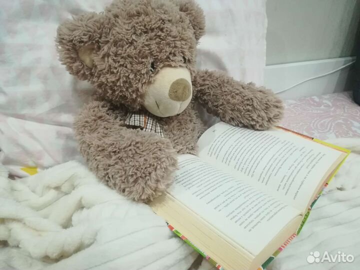 Книга Приключения Петрова и Васечкина