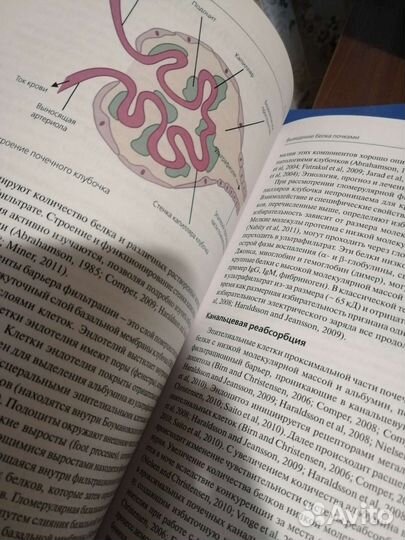 Общий анализ мочи в ветеринарной медицине К. Синк