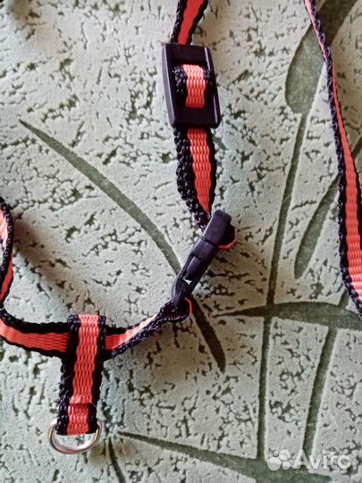 Поводок и шлейка для кошки